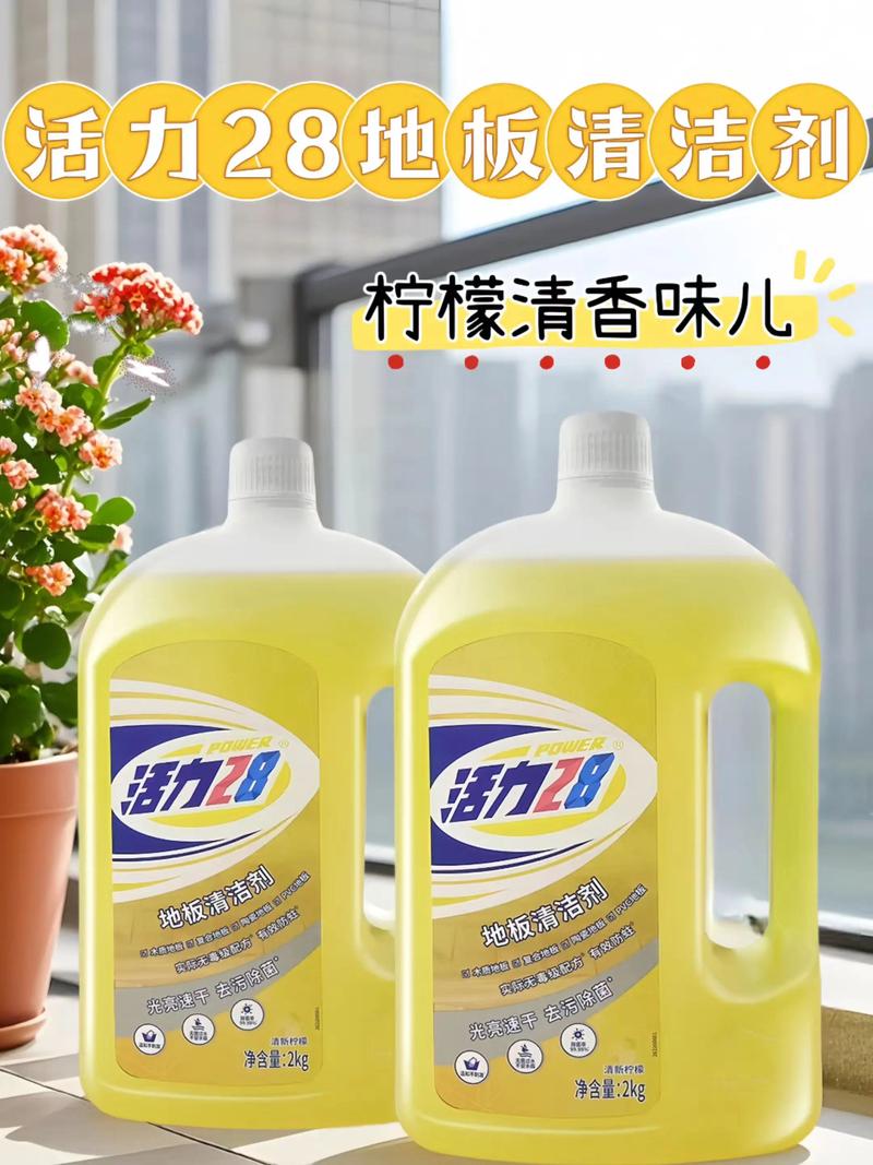 轻松整理，好物收纳——实用的收纳用品清单
